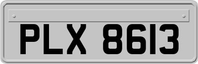 PLX8613