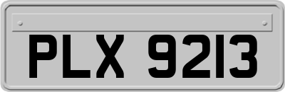 PLX9213