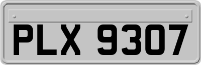 PLX9307