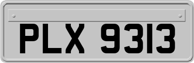 PLX9313