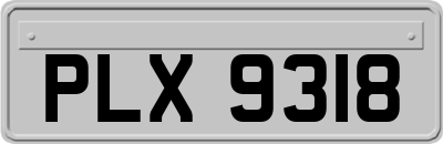 PLX9318