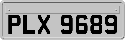 PLX9689