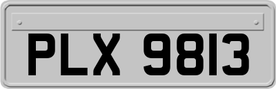 PLX9813