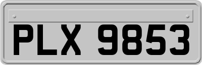 PLX9853