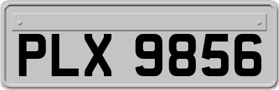 PLX9856