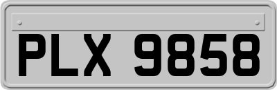 PLX9858