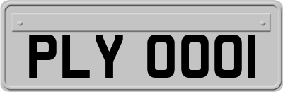 PLY0001