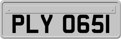 PLY0651