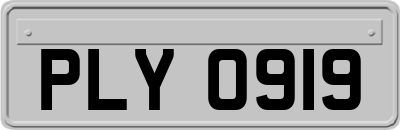 PLY0919