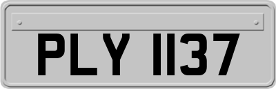 PLY1137