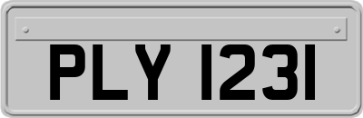 PLY1231