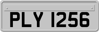 PLY1256