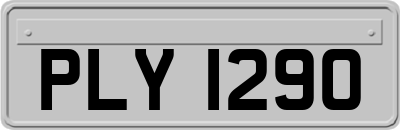 PLY1290