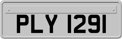 PLY1291