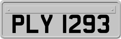 PLY1293