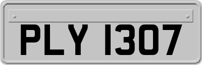 PLY1307