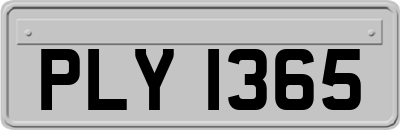 PLY1365