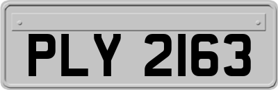 PLY2163