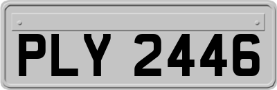 PLY2446