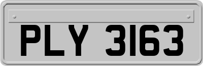 PLY3163