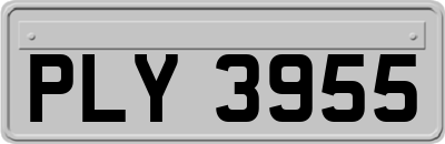 PLY3955