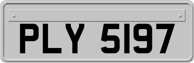 PLY5197