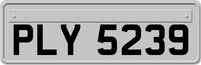 PLY5239