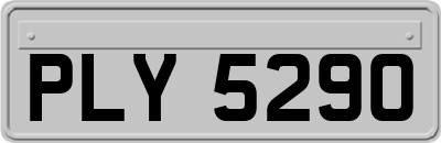 PLY5290