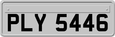 PLY5446