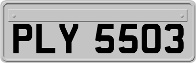 PLY5503