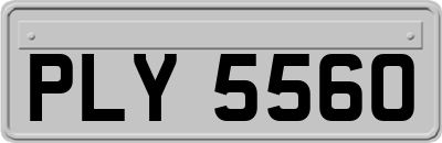 PLY5560