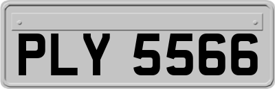 PLY5566