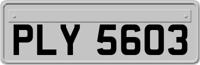 PLY5603