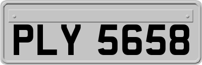 PLY5658