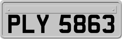 PLY5863