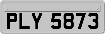 PLY5873