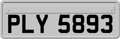 PLY5893