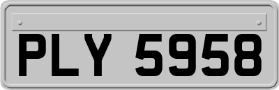 PLY5958