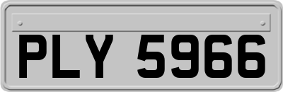 PLY5966