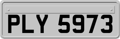 PLY5973