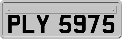 PLY5975