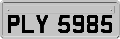 PLY5985