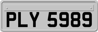 PLY5989