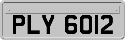 PLY6012