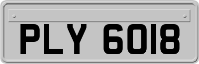 PLY6018