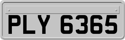 PLY6365