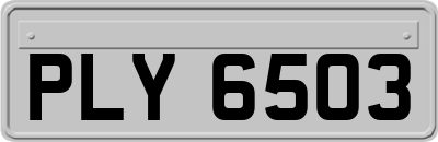 PLY6503