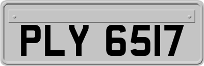 PLY6517