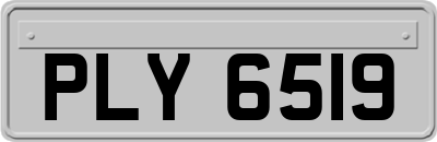 PLY6519