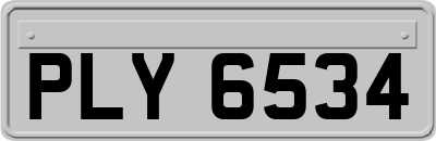 PLY6534